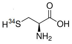 L-Cysteine-<sup>34</sup>S