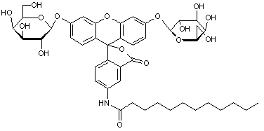 5-Dodecanoylaminoflorescein di-β-D-galactopyranoside