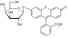 Fluorescein mono-β-D-galactopyranoside