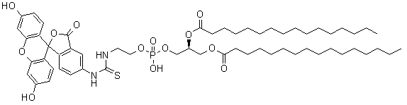 Fluorescein-dipalmitoylphosphatidylethanolamine triethylammonium salt