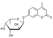 4-Methylumbelliferyl α-L-fucopyranoside