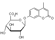 4-Methylumbelliferyl β-D-glucuronide hydrate
