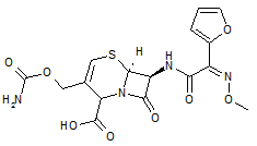 (6R-7R)-3-[[(Aminocarbonyl)oxy]methyl]-7-[[(2Z)-2-(2-furanyl)-2-(methoxyimino)acetyl]amino]-8-oxo-5-thia-1-azabicyclo[4.2.0]oct-3-ene-2-carboxylic acid