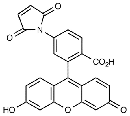 Fluorescein 6-Maleimide