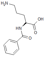N-Benzoyl-Ornithine