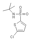 5-Chloro-N-tert-butyl-2-thiophene-sulfonamide
