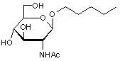 Amyl 2-acetamido-2-deoxy-β-D-glucopyranoside