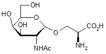 2-Acetamido-2-deoxy-α-D-galactopyranosyl serine