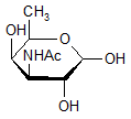 3-Acetamido-3-6-dideoxy-D-galactose