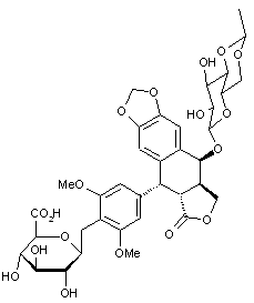 Etoposide D-glucuronide