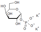 α-D-Galactose-1-phosphate dipotassium salt hydrate