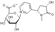 N-(trans-3-Hydroxycotinine)-β-D-glucuronide