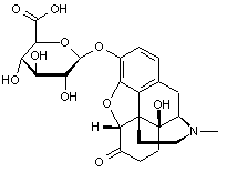 Oxymorphone 3-β-D-glucuronide