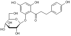 Phloridzin hydrate