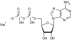Adenosine 5’-diphosphate monosodium salt
