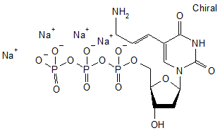 5-Aminoallyl 2’-deoxyuridine 5’-triphosphate sodium salt - 100mM aqueous solution