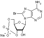 8-Bromoadenosine 3’-5’-cyclic monophosphate sodium salt