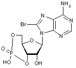 8-Bromoadenosine 3’-5’-cyclic monophosphate