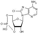 8-Chloroadenosine 3’-5’-cyclic monophosphate