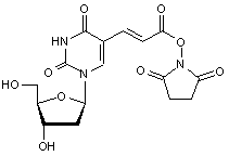 E-5-(2-Carboxyvinyl)-2’-deoxyuridine hydroxysuccinimide ester