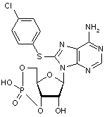 8-(4-Chlorophenylthio)adenosine 3’-5’-cyclic monophosphate