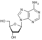2’-Deoxyadenosine