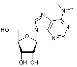 6-Dimethylamino-9-(b-D-ribofuranosyl)purine