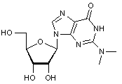 N2-N2-Dimethylguanosine