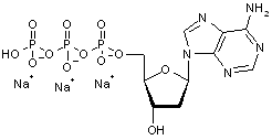 2’-Deoxyadenosine-5’-triphosphate trisodium salt