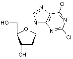 2-6-Dichloro-9-(2’-deoxy-β-D-ribofuranosyl)purine