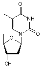 5’-Deoxythymidine