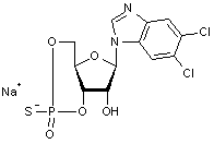 5-6-Dichloro-(1-β-D-ribofuranosyl) benzimidazole 3’-5’-cyclic monophosphothioate- Sp-isomer sodium salt