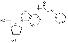 2’-Deoxy-N6-phenoxyacetyladenosine