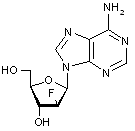 9-(2’-Deoxy-2’-fluoro-β-D-arabinofuranosyl)adenine