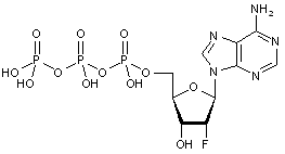 2’-Deoxy-2’-fluoroadenosine-5’-triphosphate