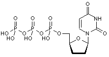 2’-3’-Dideoxyuridine-5’-triphosphate lithium salt - 100mM aqueous solution