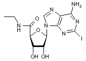 5’-Ethylcarboxamido-2-iodoadenosine