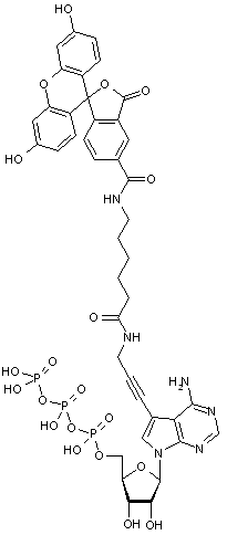 Fluorescein alkynylamino-ATP - 1.0 mM solution