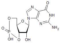 Guanosine 3’-5’-cyclic monophosphate