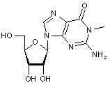 N1-Methylguanosine