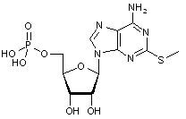 2-Methylthioadenosine 5-monophosphate