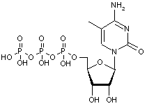 5-Methylcytidine-5’-triphosphate sodium salt - 100mM aqueous solution