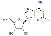 C2-Methyladenosine