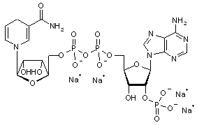 β-Nicotinamide adenine dinucleotide phosphate- reduced form- tetrasodium salt - min 95%
