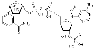 β-icotinamide adenine dinucleotide phosphate potassium salt hydrate