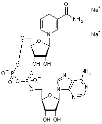 β-icotinamide adenine dinucleotide reduced form- disodium salt