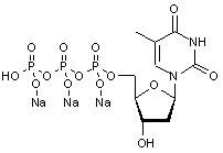 Thymidine-5’-triphosphate trisodium salt