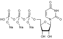 Uridine 5’-triphosphate trisodium salt