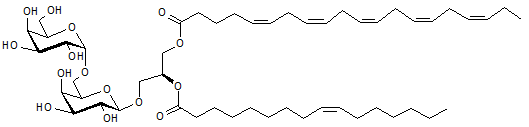 Digalactosyldiacylglycerol - Concentration 10mg/ml in Chloroform-Methanol