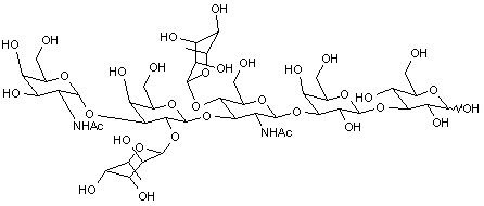 α-Heptasaccharide
